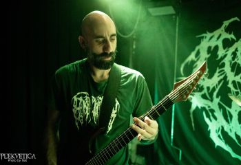 Consumed by Vultures - Photo by Natalie