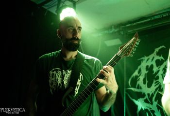 Consumed by Vultures - Photo by Natalie