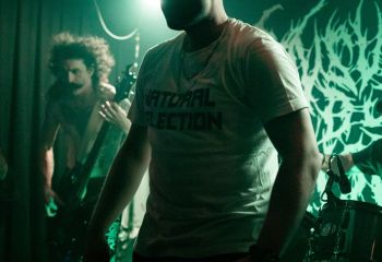 Consumed by Vultures - Photo by Natalie