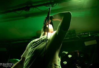 Consumed by Vultures - Photo by Natalie