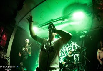 Consumed by Vultures - Photo by Natalie