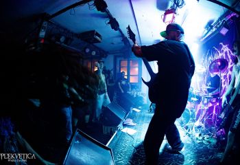 Consumed by Vultures - Photo by Natalie