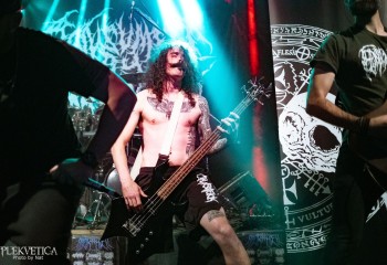 Consumed by Vultures - Photo by Natalie