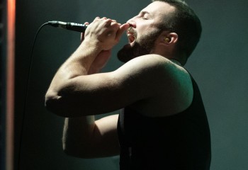 Consumed by Vultures - Photo by Natalie