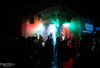 Consumed by Vultures - Photo by Natalie