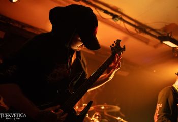 Coprocephalic Mutation - Photo by Natalie