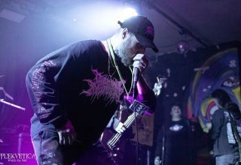 Coprocephalic Mutation - Photo by Natalie