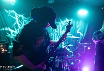 Coprocephalic Mutation - Photo by Natalie