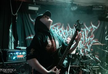 Coprocephalic Mutation - Photo by Natalie