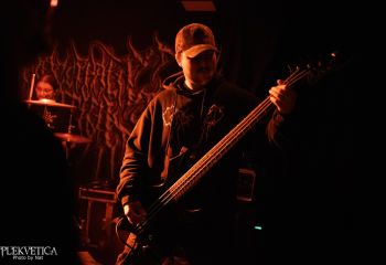 Coprocephalic Mutation - Photo by Natalie