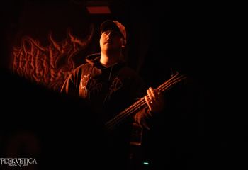 Coprocephalic Mutation - Photo by Natalie