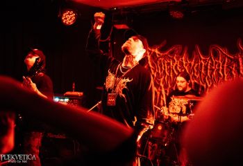 Coprocephalic Mutation - Photo by Natalie