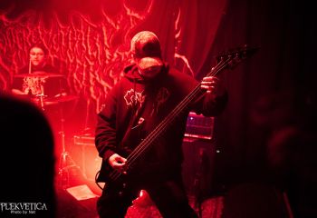 Coprocephalic Mutation - Photo by Natalie