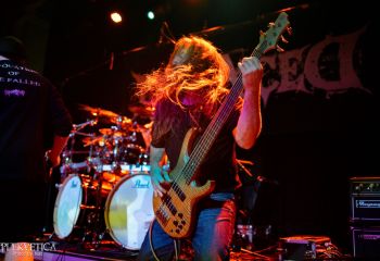 Defaced - Photo by Natalie