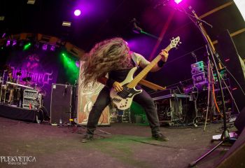 Disparaged - Photo by Natalie