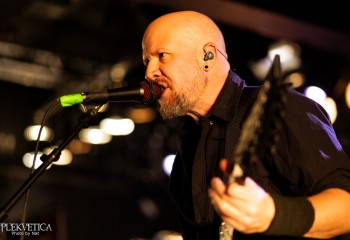 Disparaged - Photo by Natalie