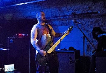 Dogbite - Photo by Natalie