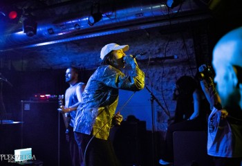 Dogbite - Photo by Natalie