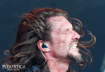Donots - Photo by Pat