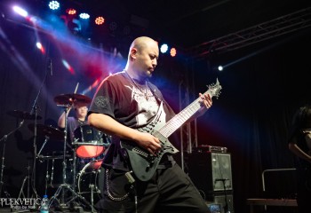 Fatuous Rump - Photo by Natalie