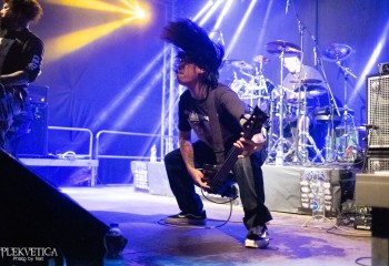 Fatuous Rump - Photo by Natalie