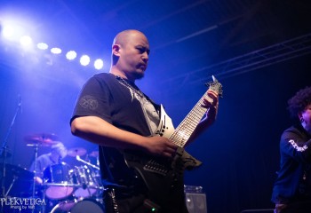 Fatuous Rump - Photo by Natalie