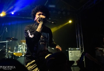 Fatuous Rump - Photo by Natalie