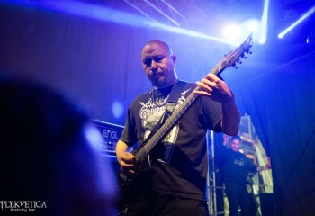 Fatuous Rump - Photo by Natalie