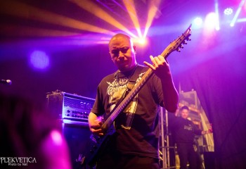 Fatuous Rump - Photo by Natalie