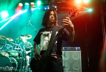 Fatuous Rump - Photo by Natalie