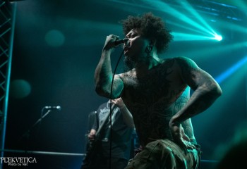 Fatuous Rump - Photo by Natalie