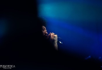 Fatuous Rump - Photo by Natalie