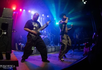 Fatuous Rump - Photo by Natalie