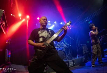 Fatuous Rump - Photo by Natalie