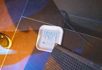 Fever Dream - Photo by Natalie