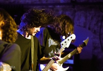 Fever Dream - Photo by Natalie