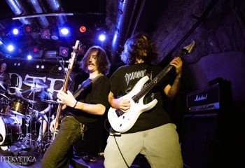 Fever Dream - Photo by Natalie