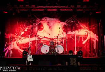 Frog Leap - Photo By Peti