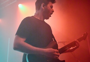 Frog Leap - Photo By Peti