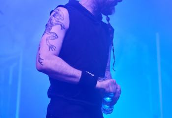 Frog Leap - Photo By Peti