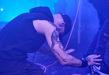 Frog Leap - Photo By Peti