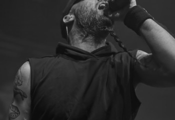 Frog Leap - Photo By Peti