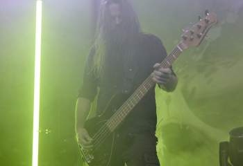 Frog Leap - Photo By Peti