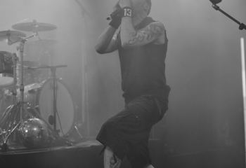 Frog Leap - Photo By Peti