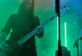 Frog Leap - Photo By Peti