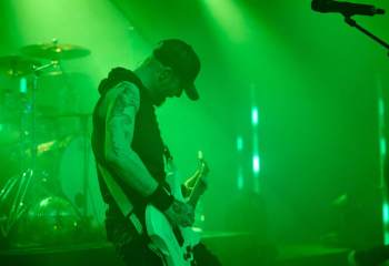 Frog Leap - Photo By Peti