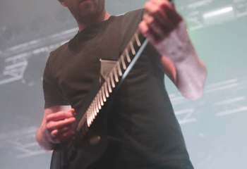 Frog Leap - Photo By Peti