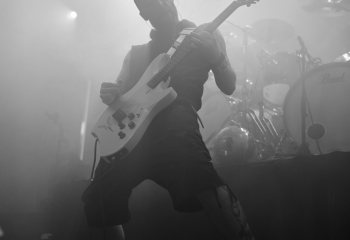 Frog Leap - Photo By Peti