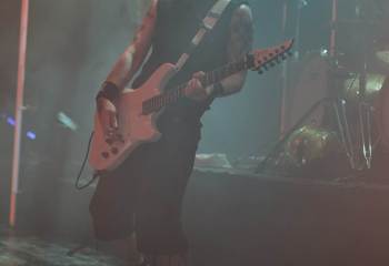 Frog Leap - Photo By Peti