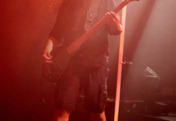 Frog Leap - Photo By Peti